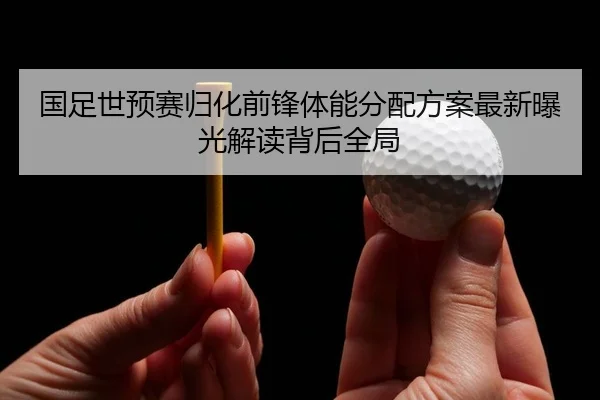 国足世预赛归化前锋体能分配方案最新曝光解读背后全局